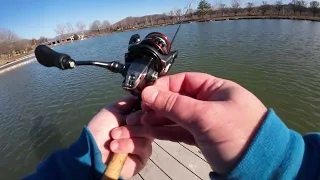 Shimano Vanford after 1 year fishing spinning reel review