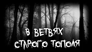 Страшные истории - В ветвях старого тополя