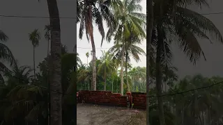 Kabhi Jo Badal Barse🌧 #shorts #youtubeshorts #shortsfeed #trending #india #viral #rain 🌧