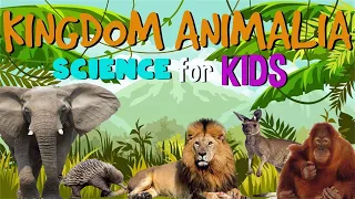 Animal Kingdom | Science for Kids