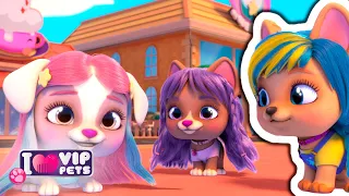 Beauty Salon Collection | VIP PETS 🌈 Full Episodes | Cartoons for Kids in English | Long Video