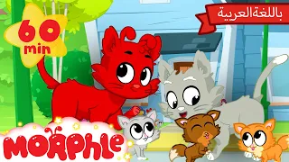 Morphle Arabic |🐱 قصص مورفل و ميلا |🐱 حلقة مورفل والقِططُ الصَّغيرةُ - Morphle and the Kittens