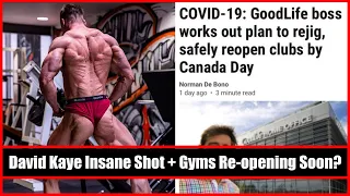 NATTY NEWS DAILY #12 | David Kaye Insane Shot + Gyms Re-opening Soon?
