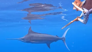 Spearfishing For Giant Tuna and Marlin! {Catch Clean Cook} Feeding the Village