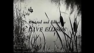 Tales from the Riverbank theme tune (1960)