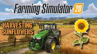 Harvesting Sunflowers | Farming Simulator 20 Timelapse gameplay #30