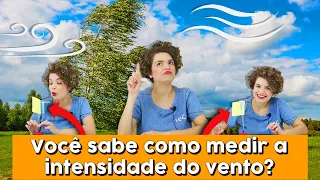 Anemômetro – Como medir a intensidade do vento? 🌬️