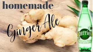 HOMEMADE GINGER ALE FROM SCRATCH || QUICK & EASY DRINK RECIPES