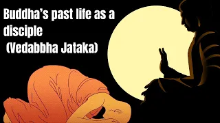 Buddha’s past life as a disciple (Vedabbha Jataka)