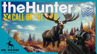 So MANY DIAMONDS on this Map! | theHunter: Call of the Wild