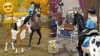 MIJN EIGEN VEULEN?! + Nieuwe WINKELS! - Update | Star Stable Online | Daphneee