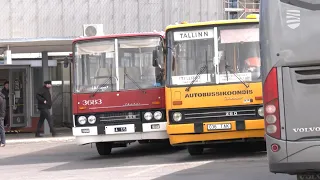 В столице можно будет прокатиться на том самом «Икарусе»