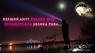 Велика риба, відсік "лавашів". Перший трофейний амур сезону 2020.