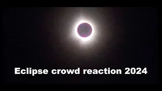 Solar Eclipse Marion, OH 2024 Crowd Reaction
