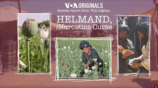 Helmand, The Narcotics Curse | Changes in Afghanistan's Largest Opium-Producing Region