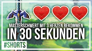 Masterschwert in BotW mit 3 Herzen bekommen in 30 Sekunden! | Breath Of The Wild | FwieKiba #shorts