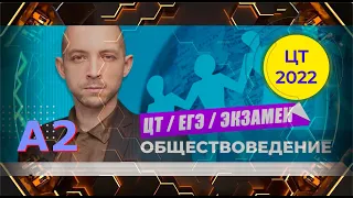 ЦТ по Обществоведению 2023. Виды деятельности