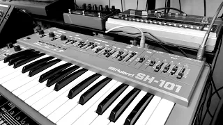 Roland SH-101 & TR-606