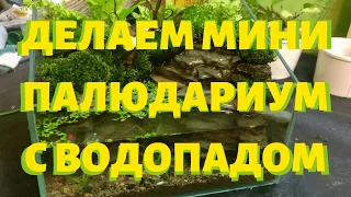 Делаем настольный мини палюдариум с водопадом