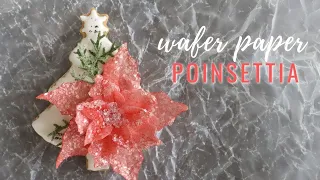 How to make Wafer Paper Christmas Poinsettia for cookie and cake decorating FREE TEMPLATE