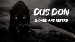 Dus Don (Slowed And Reverb)