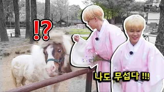 [방탄소년단 지민] 지민이와 동물 친구들 모음.zip /BTS Jimin with cute animals