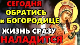 ОБРАТИСЬ К БОГОРОДИЦЕ МОЛИТВОЙ И ЖИЗНЬ НАЛАДИТСЯ! Молитва Пресвятой Богородице. Православие