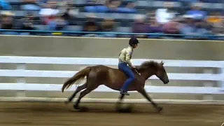 2012 Extreme Mustang Makeover Winning Performance - Elisa Wallace & Fledge