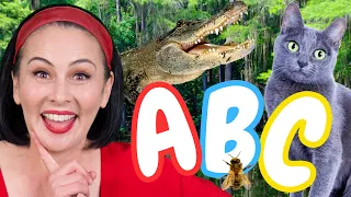 Alphabet Animals Song | Learn ABC Phonics And Animals | Lah-Lah Nursery Rhymes and Kids Songs