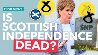 Can Scottish Independence Survive Without Sturgeon?