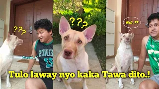 MGA NAKAKA TAWANG MGA VIDEO NAMIN NI THEO