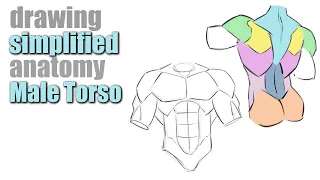 How to Draw the Male Torso with Simplified Forms