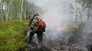 Все природные пожары в Приамурье ликвидированы