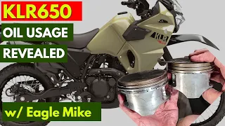 KLR650 Oil Consumption Issue Revealed (& thermo-bob explanation)