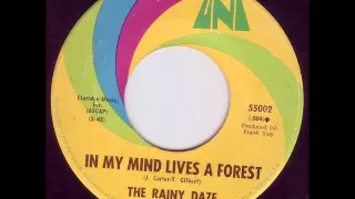 Rainy Daze - In My Mind Lives A Forest