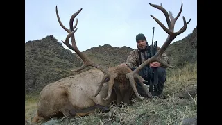 Maral and Ibex hunting in Kazakhstan 2015 - Охота на марала и козерога в Казахстане 2015