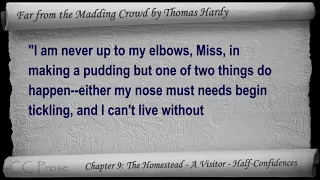 Chapter 09 - Far from the Madding Crowd by Thomas Hardy - The Homestead - A Visitor