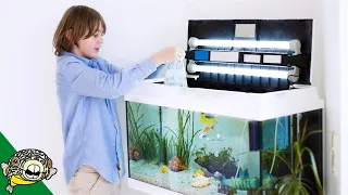 WATCH THIS before adding fish to your tank!