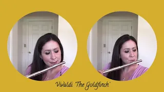Vivaldi: Allegro from Concerto #3 “The Goldfinch”