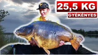 25,5 KG-OS GYÉKÉNYESI SZÖRNYETEG🧟‍♂️ - Egy sikeres bojlis túra lépésről lépésre🎣 (S2E10)