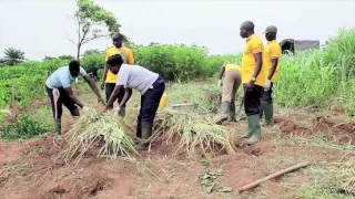 KUAPA 13 PWISSEH KABAR YAM FARMER