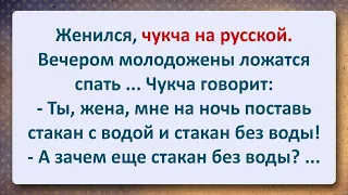 ⚜️ Чукча женился на Русской! Сборник Свежих Анекдотов! Юмор!