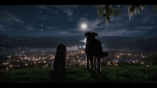 D23 Expo - Lady and the Tramp Trailer From Disney+ Panel