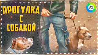 Как без проблем вывести собаку на прогулку