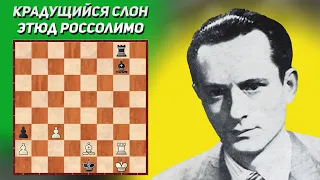 Крадущийся слон. Шахматный этюд Россолимо 1930 год. Шахматная композиция. Шахматные этюды с решением