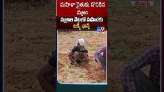 Women Found Diamond in Kurnool - TV9