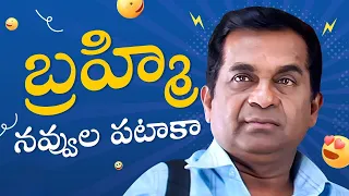 Brahmanandam Back To Back Comedy Scenes | Brahmanandam Best Telugu Comedy Scenes | Ready Movie