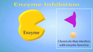 Enzyme Inhibition (Competitive vs. Non-Competitive/Allosteric)