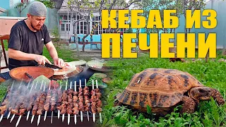 ОЧЕНЬ ВКУСНЫЙ И СОЧНЫЙ ШАШЛЫК ИЗ ГОВЯЖЬЕЙ ПЕЧЕНИ / VERY DELICIOUS AND JUICY BEEF LIVER SHASHLIK