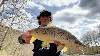 Exploring Big Rivers, Throwing Big Lures, for the Biggest WILD Brown Trout (Rapala Countdown Minnow)